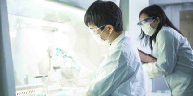 Terapi diabetes berbasis sel punca potensial dari Jepang